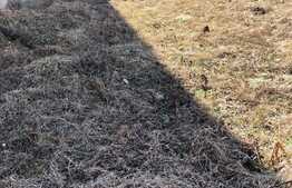 Casa cuplata de vanzare, 120 mp, 4 camere, teren 300 mp, Zona Florilor 