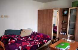 Ai spirit de antreprenor? Inseamna ca acest apartament este ceea ce cauti