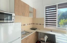 Garsoniera decomandata, 30 mp, balcon, zona FSPAC