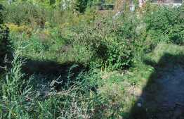 Teren intravilan de 1327 mp+390 mp cota parte din drum in Faget, pentru casa individuala.