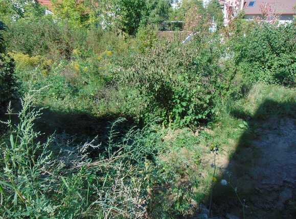 Teren de vânzare Făget - 37739TV | BLITZ Cluj-Napoca | Poza1