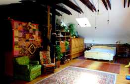 Casa individuala, 200 mp, 1300 mp teren, zona foarte frumoasa de case in Faget!