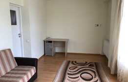 Apartament 1 camera, 40 mp, terasa, zona strazii Dunarii