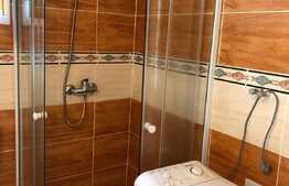 Apartament 1 camera, 40 mp, terasa, zona strazii Dunarii