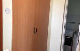 Apartament 1 camera, 40 mp, terasa, zona strazii Dunarii