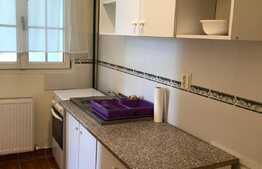 Apartament 1 camera, 40 mp, terasa, zona strazii Dunarii