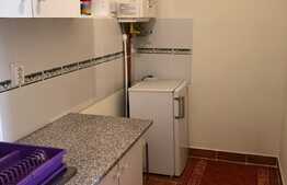 Apartament 1 camera, 40 mp, terasa, zona strazii Dunarii