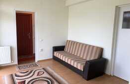 Apartament 1 camera, 40 mp, terasa, zona strazii Dunarii