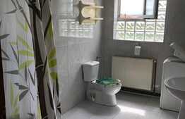Casa 90 mp, 3 camere, terasa 40 mp, parcare, zona Plevnei