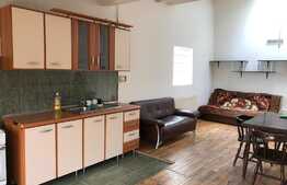 Casa 90 mp, 3 camere, terasa 40 mp, parcare, zona Plevnei