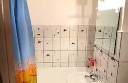 Apartament 1 camera, 40 mp, zona Minerva