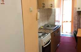 Apartament 1 camera, 40 mp, zona Minerva