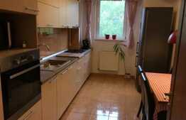 Apartament 2 camere, decomandat, prima inchiriere, cu parcare, zona USAMV