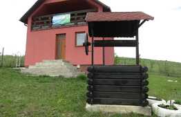 De vanzare casa de vacanta, 72 mp utili, teren 1000 mp , Exterior Est