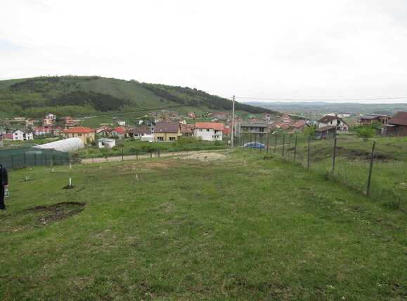 Casa de vânzare 2 camere Exterior Est - 37777CV | BLITZ Cluj-Napoca | Poza15