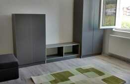 Apartament 1 camera, 30 mp, la cheie, parcare, zona Cetatii