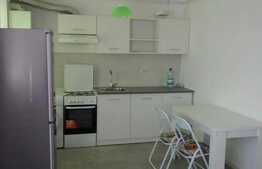 Apartament 1 camera, 30 mp, la cheie, parcare, zona Cetatii