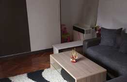 Casa cuplata 175mp utili, cu 500mp teren, in Dambul Rotund