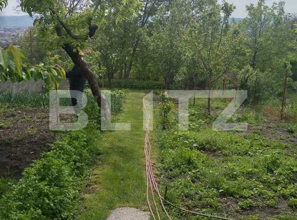 Casa de vânzare 4 camere Dambul Rotund - 37790CV | BLITZ Cluj-Napoca | Poza3