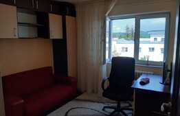 Apartament cu 2 camere,decomandat, zona Aleea Garbau,Ideal pentru investitie.