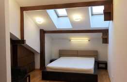 Proprietate exclusivista, 200 mp, 5 camere, 250 mp teren, garaj, zona strazii Horea!