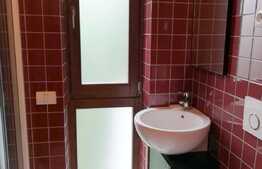 Proprietate exclusivista, 200 mp, 5 camere, 250 mp teren, garaj, zona strazii Horea!