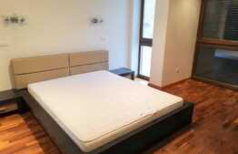 Proprietate exclusivista, 200 mp, 5 camere, 250 mp teren, garaj, zona strazii Horea!