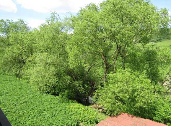 Casa de vânzare 5 camere Exterior Nord - 37809CV | BLITZ Cluj-Napoca | Poza4