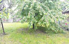 Casa individuala, 200 mp, 600 mp teren, in cartierul Andrei Muresanu!