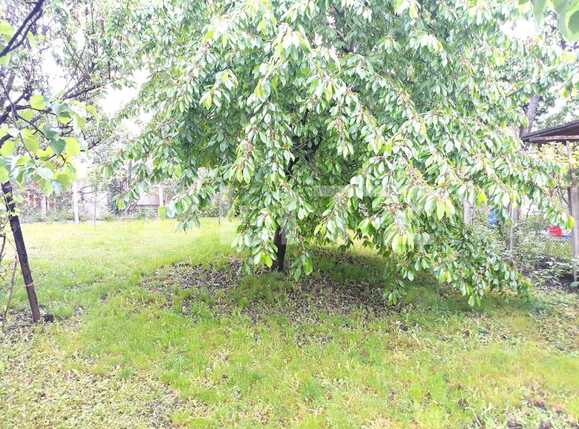 Casa de vânzare 4 camere Andrei Mureşanu - 37818CV | BLITZ Cluj-Napoca | Poza1