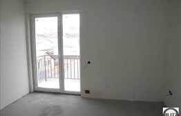 Apartament 53 mp in zona Muzeul Apei!