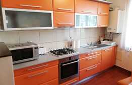 Apartament 2 camere, 60 mp, terasa 15 mp, zona strazii Trifoiului