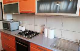 Apartament 2 camere, 60 mp, terasa 15 mp, zona strazii Trifoiului