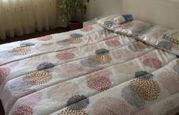 Apartament 2 camere, 60 mp, terasa 15 mp, zona strazii Trifoiului