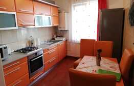 Apartament 2 camere, 60 mp, terasa 15 mp, zona strazii Trifoiului
