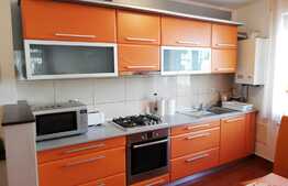 Apartament 2 camere, 60 mp, terasa 15 mp, zona strazii Trifoiului