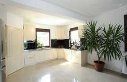 Casa 335 mp, teren 1013 mp, garaj, zona Padurea Faget!