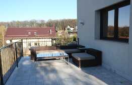Casa 335 mp, teren 1013 mp, garaj, zona Padurea Faget!