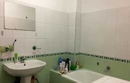 Apartament 1 camera, cu suprafata generoasa, in zona linistita!