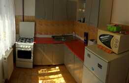 Apartament 1 camera, cu suprafata generoasa, in zona linistita!