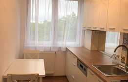 Apartament 2 camere, 50 mp, totul nou, zona Parcul Central