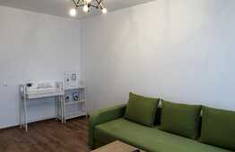 Apartament 2 camere, 50 mp, totul nou, zona Parcul Central