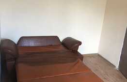 Apartament 2 camere, 30 mp, renovat recent, zona strazii Albac