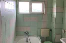 Apartament 2 camere, decomandat, zona de case, zona Traian Vuia