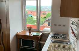 Apartament 2 camere, decomandat, zona de case, zona Traian Vuia