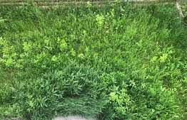 Reducere de pret ! Duplex finisat, compartimentare practica, zona Terra ! 