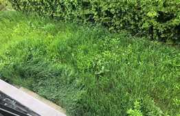 Reducere de pret ! Duplex finisat, compartimentare practica, zona Terra ! 