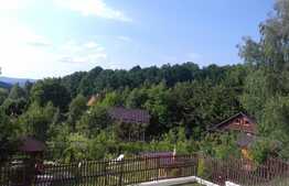 Scadere de pret! De vanzare vila 320 mp utili, teren 1260, Faget, zona excelenta!