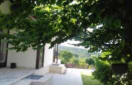 Scadere de pret! De vanzare vila 320 mp utili, teren 1260, Faget, zona excelenta!