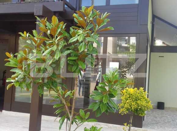 Casa de vânzare 8 camere Făget - 37899CV | BLITZ Cluj-Napoca | Poza4